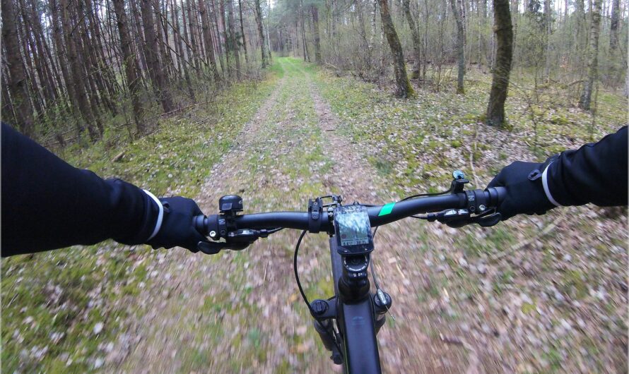 besucht: Holzkunst zum Anfassen