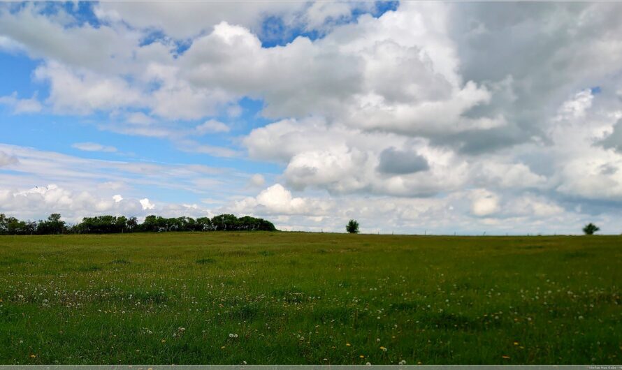 gekreuzt: Oberbarnimer Feldsteinroute