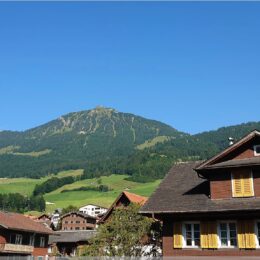 Blick aus Jonys Unterkunft