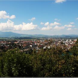 Blick über Thun vom Jakobshübeli