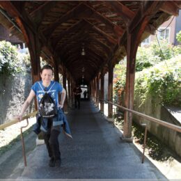 Treppe zur Schlosskirche und Schloss