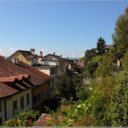 Blick über Thuner Dächer