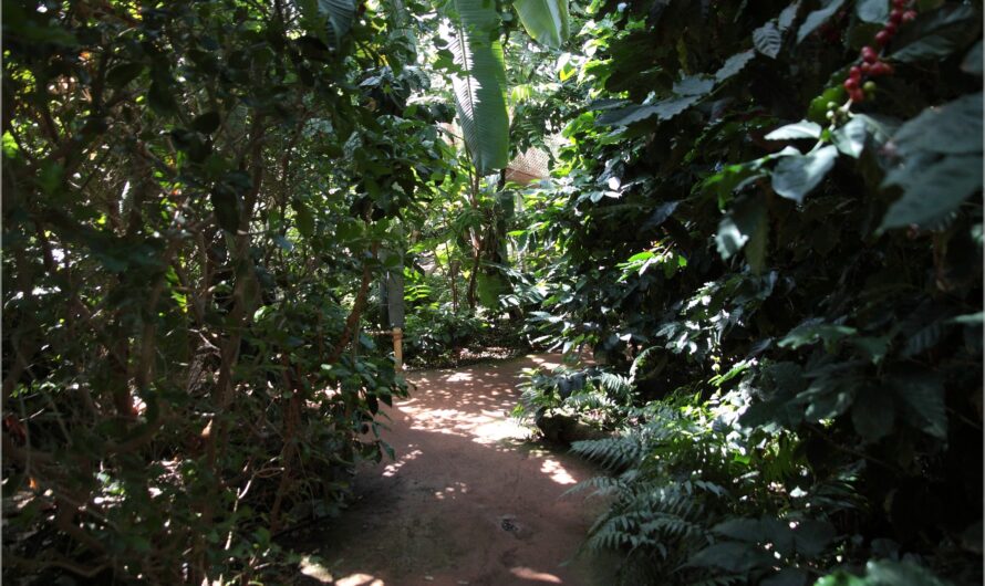 Besuch in den Schweizer Tropen