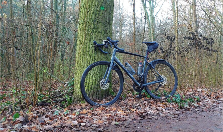 angeklemmt: SKS S-Board am Rennrad