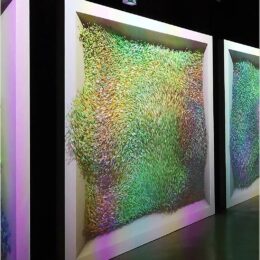 Monets Garten - die Farben verschwimmen