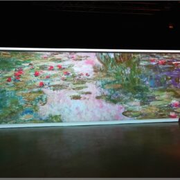 Monets Garten - Seerosen