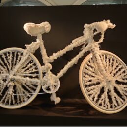 Federrad – Easy Rider Road Show