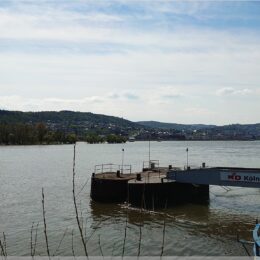 Der Rhein mit Blick nach Bingen