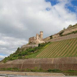 Ruine Ehrenfels