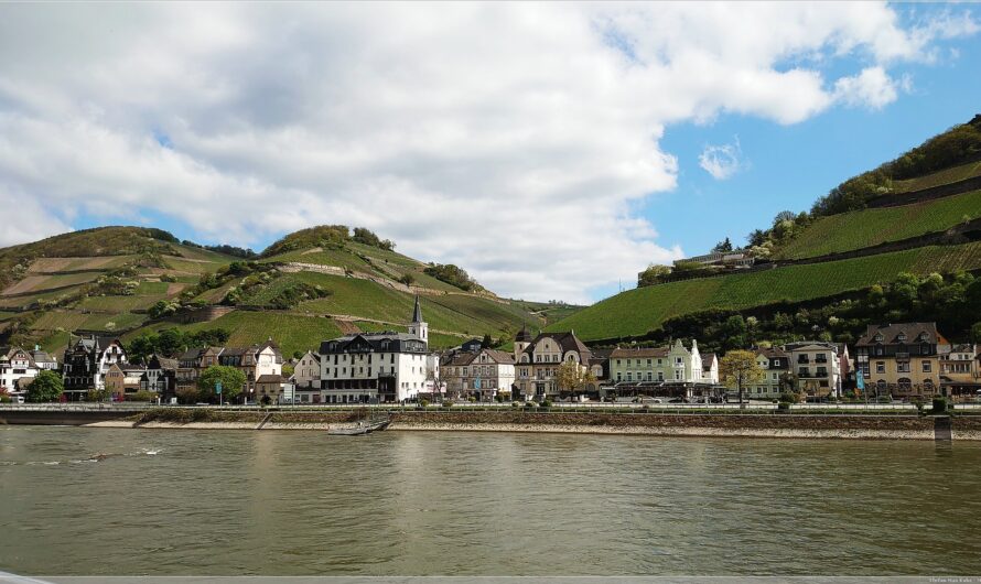 den Rhein rauf und runter