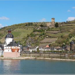 Burg Pfalzengrafenstein
