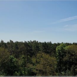 Blick von der Siegessäule