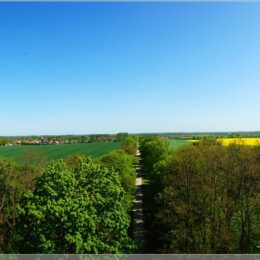 Blick von der Siegessäule