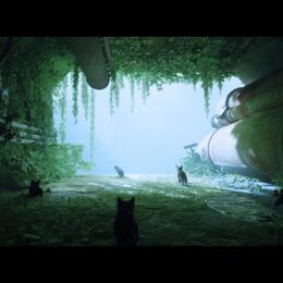 Stray – unter Freunden