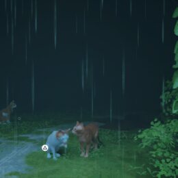 Stray – Interaktionen
