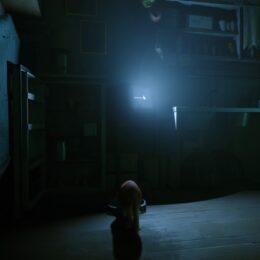 Stray – Hinweise