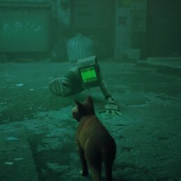 Stray – mechanischer Charakter