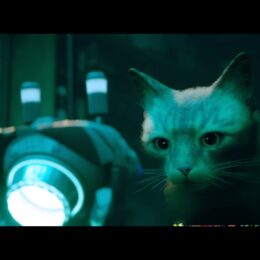 Stray – ein neuer Freund?