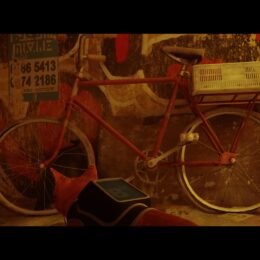 Stray – Fahrrad