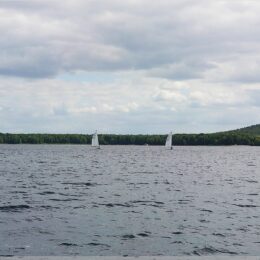 Windsurfer auf dem Müggelsee