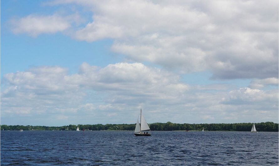 gefeiert: 77 Jahre Blogoma