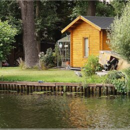 Reiher an der Müggelspree