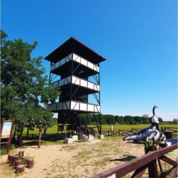 Aussichtsturm Warthemündung Nationalpark