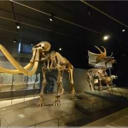 Mammut und Riesenhirsch