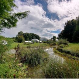 Botanischer Garten Zürich