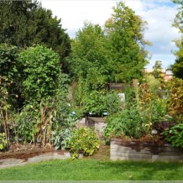 Botanischer Garten Zürich