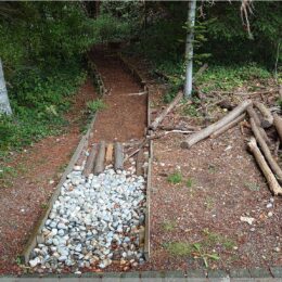 Mitmachstation im Botanischer Garten Zürich