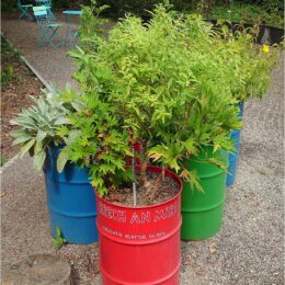 Mitmachstation im Botanischer Garten Zürich