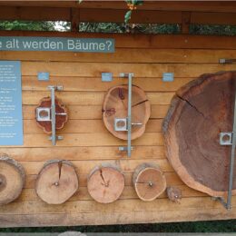 Mitmachstation im Botanischer Garten Zürich