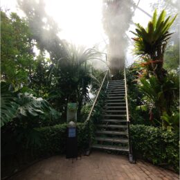 Schauhäuser im Botanischen Garten Zürich