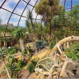 Schauhäuser im Botanischen Garten Zürich