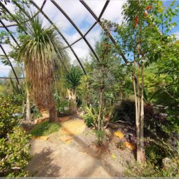 Schauhäuser im Botanischen Garten Zürich