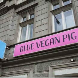 Blue Vegan Pig Shop