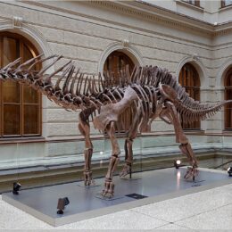 Dinosaurier im Nationalmuseum
