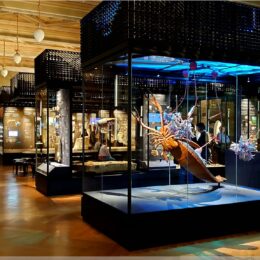 Schaukästen der Prähistorik im Nationalmuseum