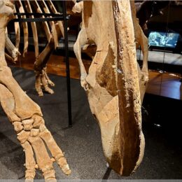 das Glas bricht schon