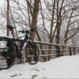 Schwalbe Marathon Winter Plus im Schnee