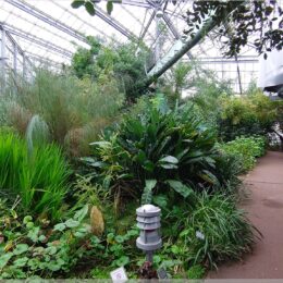 De Hortus, botanischer Garten Amsterdam