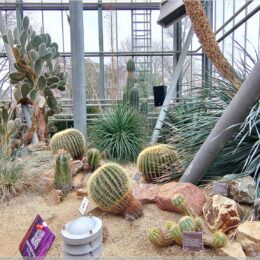 De Hortus, botanischer Garten Amsterdam