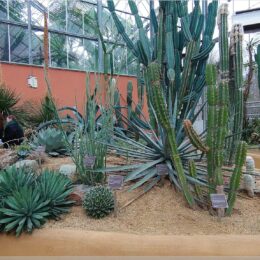 De Hortus, botanischer Garten Amsterdam