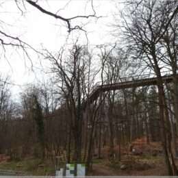 Baumwipfelpfad Usedom