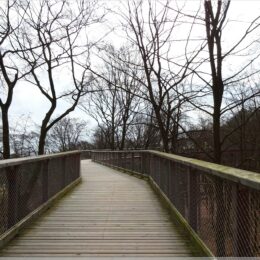 Baumwipfelpfad Usedom