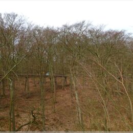 Baumwipfelpfad Usedom