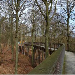 Baumwipfelpfad Usedom