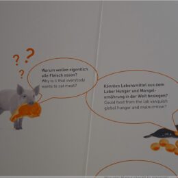 ja, warum eigentlich