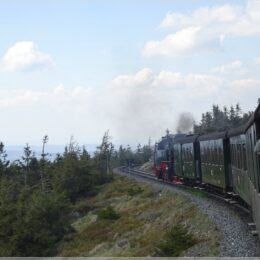 am Borcken entlang schlängeln